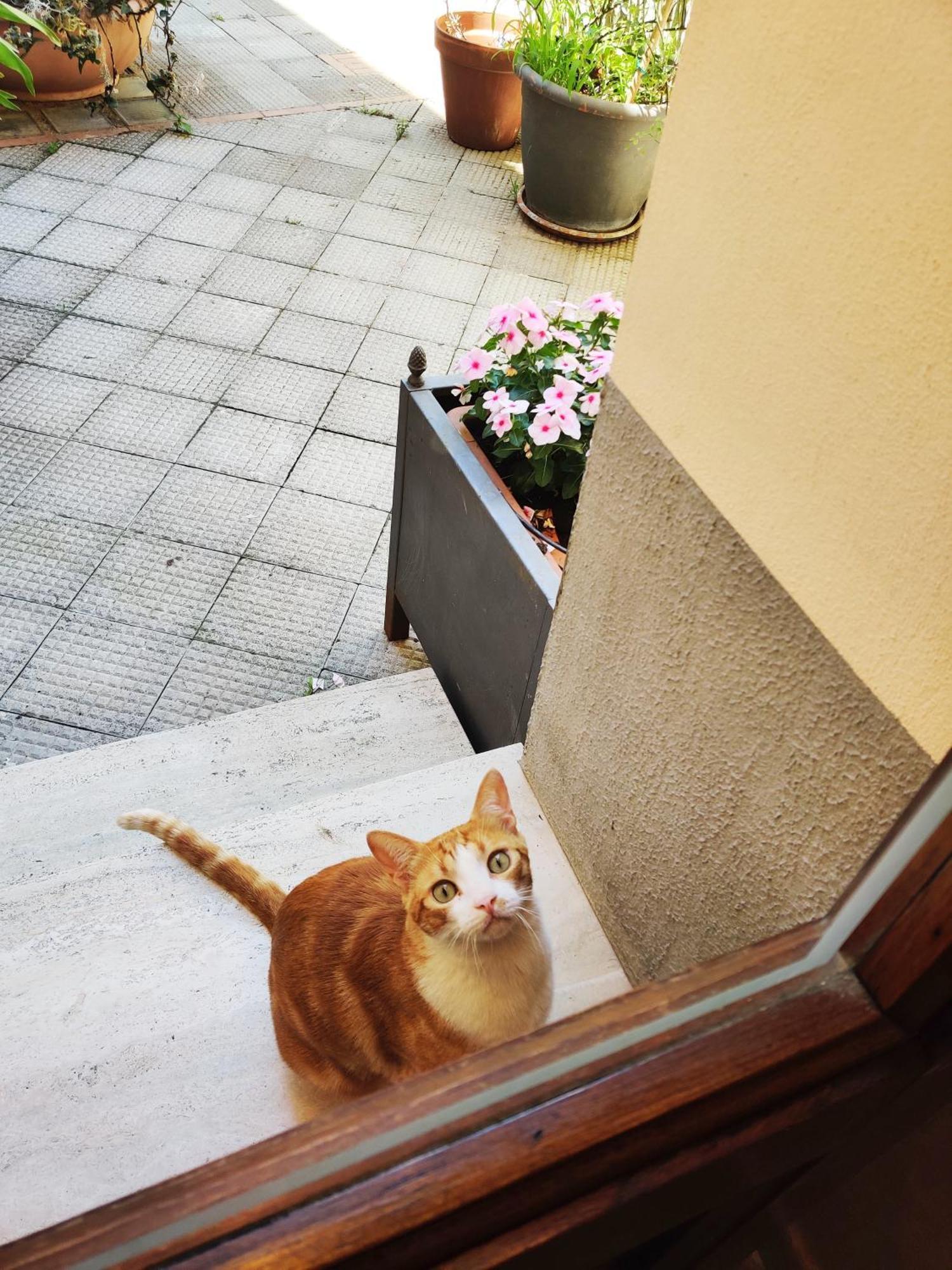 B&B Gattacicova Cava deʼ Tirreni Zimmer foto